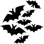 Pipistrelle bat 