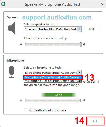 Fig 6: Adjust Audio settings