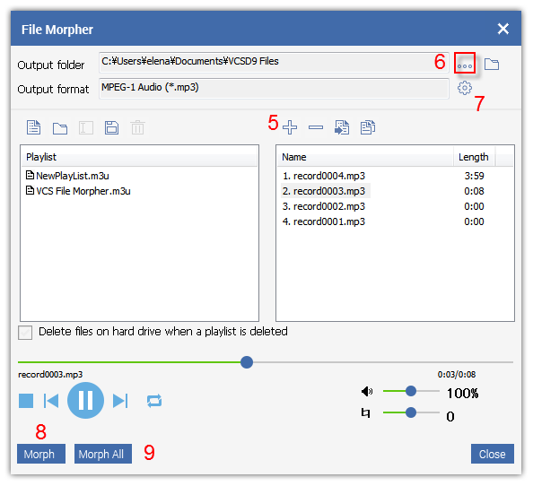 File Morpher Settings