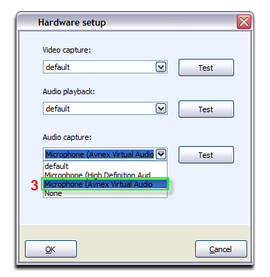 Select Microphone (Avnex Virtual Audio) in Audio Capture list