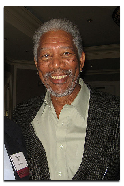 voxal by nch software how to make morgan freeman